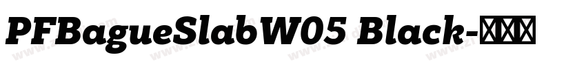 PFBagueSlabW05 Black字体转换